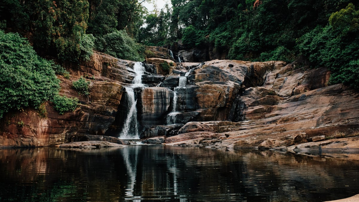 The Cost of Tea — Sri Lanka — frame